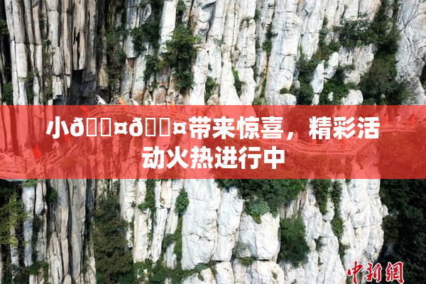 小🐤🐤带来惊喜，精彩活动火热进行中