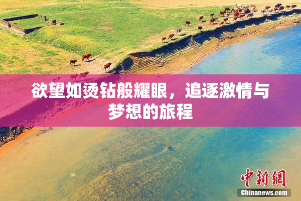 欲望如烫钻般耀眼，追逐激情与梦想的旅程