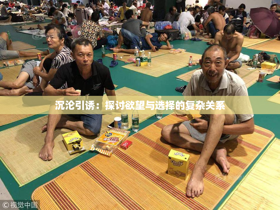 沉沦引诱：探讨欲望与选择的复杂关系