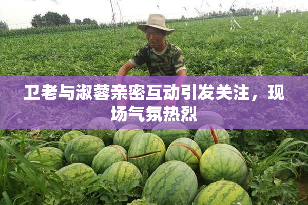 卫老与淑蓉亲密互动引发关注，现场气氛热烈