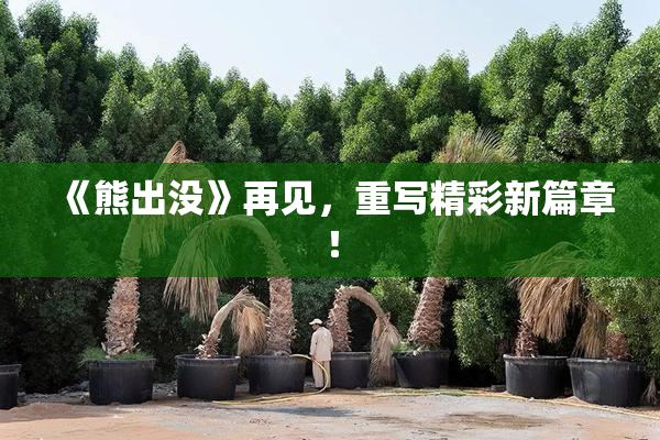 《熊出没》再见，重写精彩新篇章！