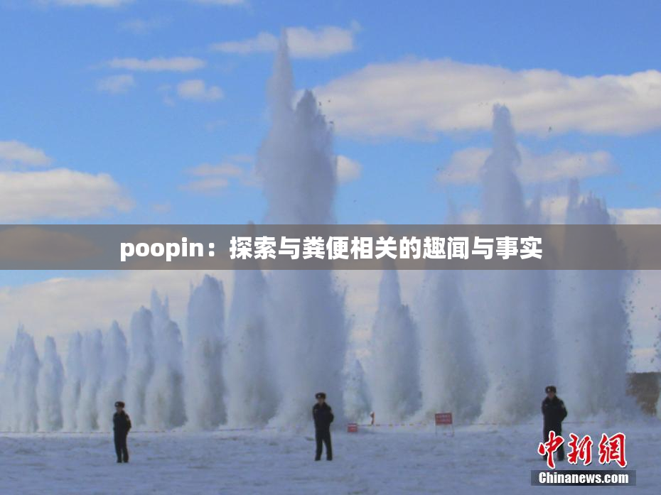 poopin：探索与粪便相关的趣闻与事实
