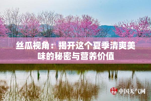 丝瓜视角：揭开这个夏季清爽美味的秘密与营养价值