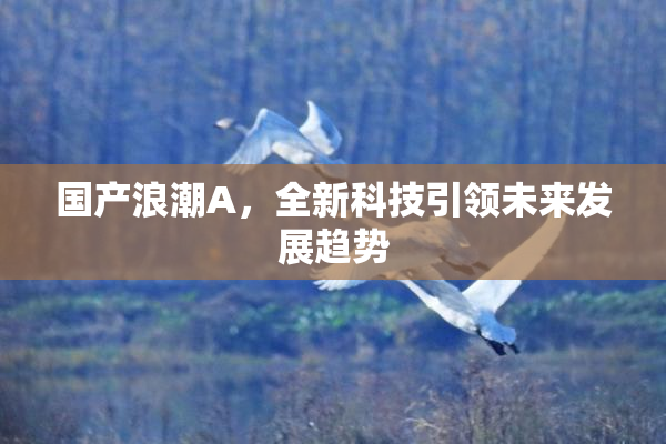 国产浪潮A，全新科技引领未来发展趋势