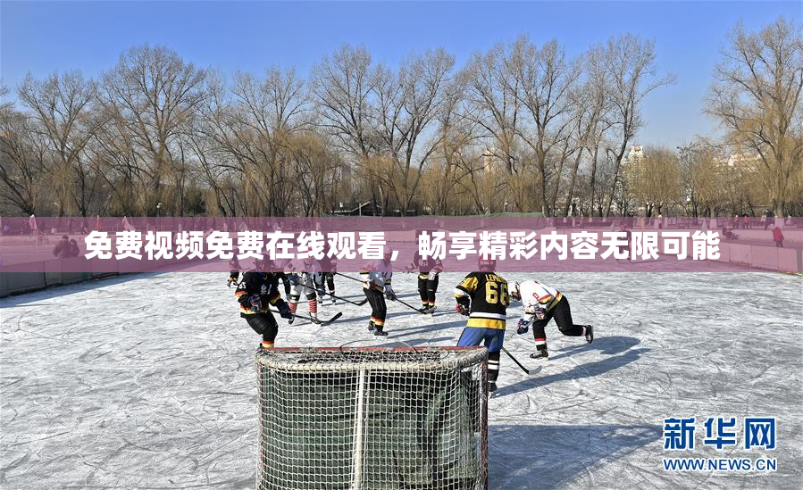 免费视频免费在线观看，畅享精彩内容无限可能