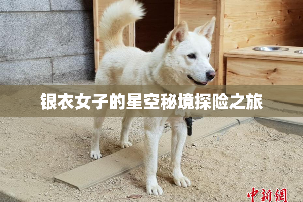 银衣女子的星空秘境探险之旅