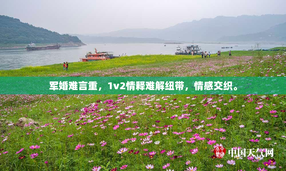 军婚难言重，1v2情释难解纽带，情感交织。