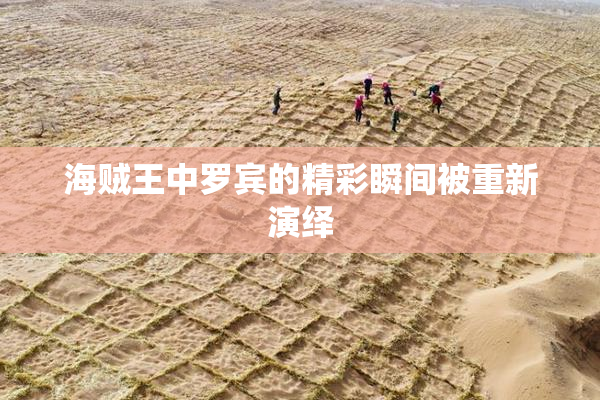 海贼王中罗宾的精彩瞬间被重新演绎
