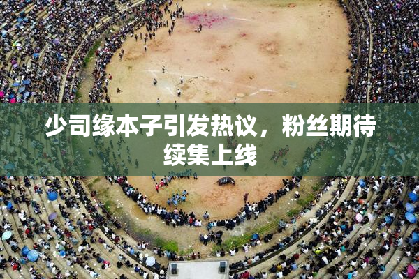 少司缘本子引发热议，粉丝期待续集上线