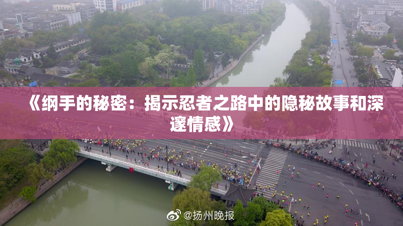 《纲手的秘密：揭示忍者之路中的隐秘故事和深邃情感》