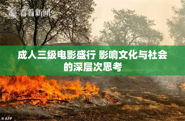 成人三级电影盛行 影响文化与社会的深层次思考