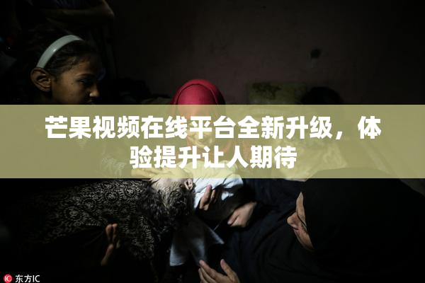 芒果视频在线平台全新升级，体验提升让人期待