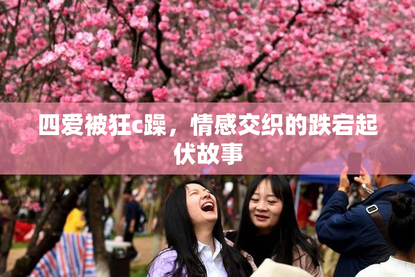 四爱被狂c躁，情感交织的跌宕起伏故事