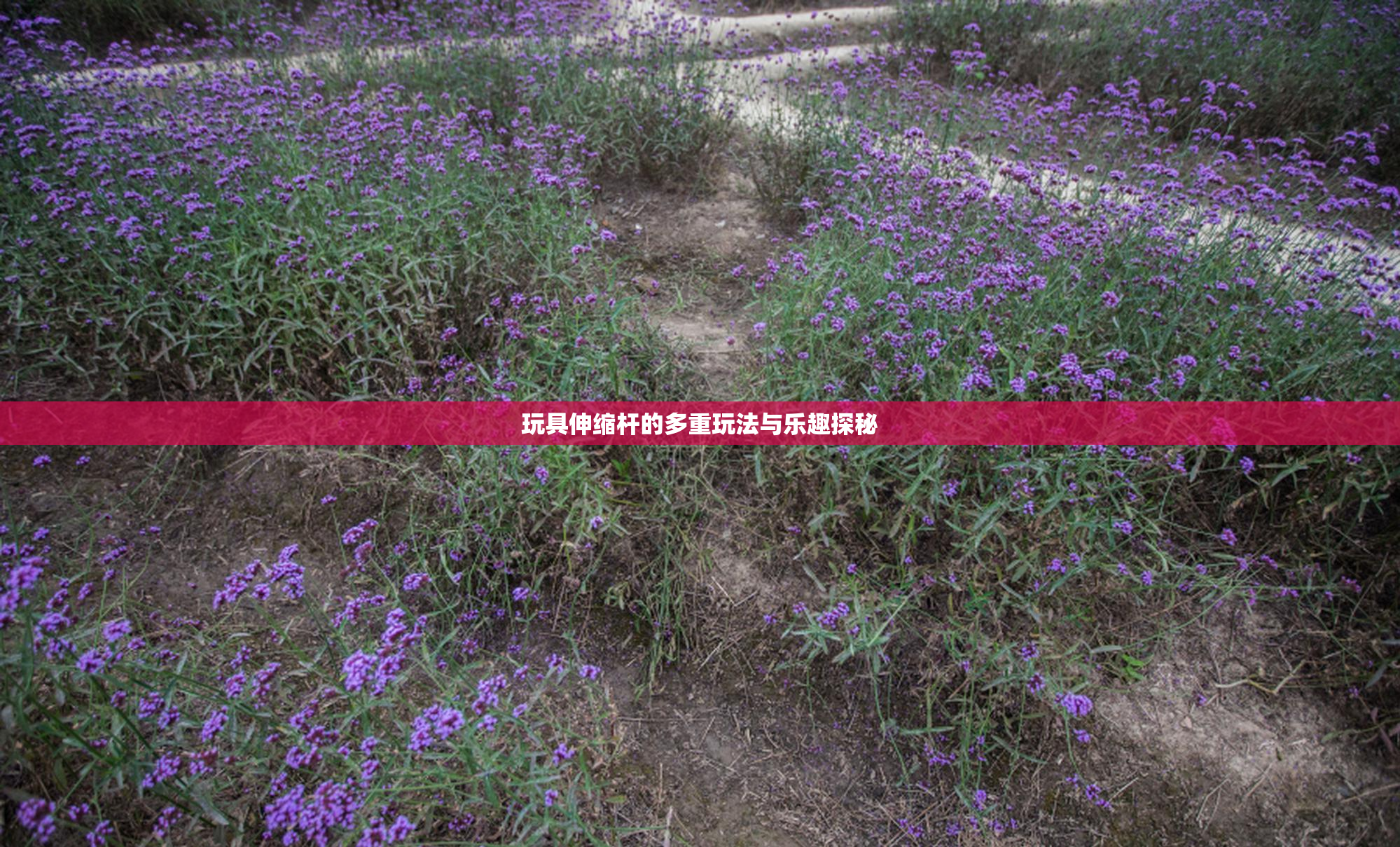玩具伸缩杆的多重玩法与乐趣探秘