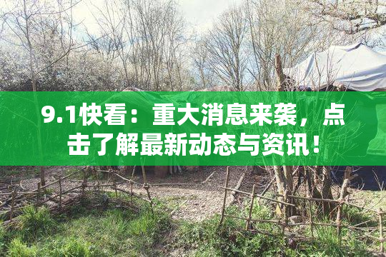 9.1快看：重大消息来袭，点击了解最新动态与资讯！