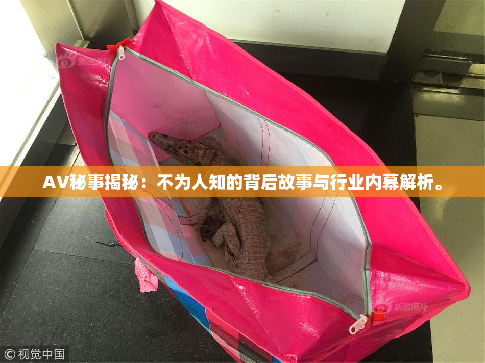 AV秘事揭秘：不为人知的背后故事与行业内幕解析。
