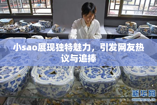 小sao展现独特魅力，引发网友热议与追捧