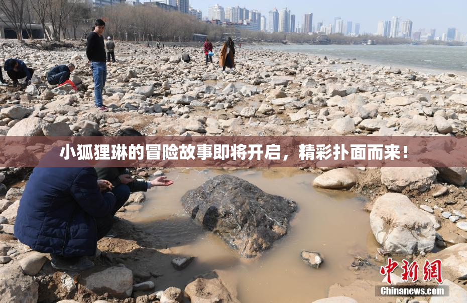 小狐狸琳的冒险故事即将开启，精彩扑面而来！