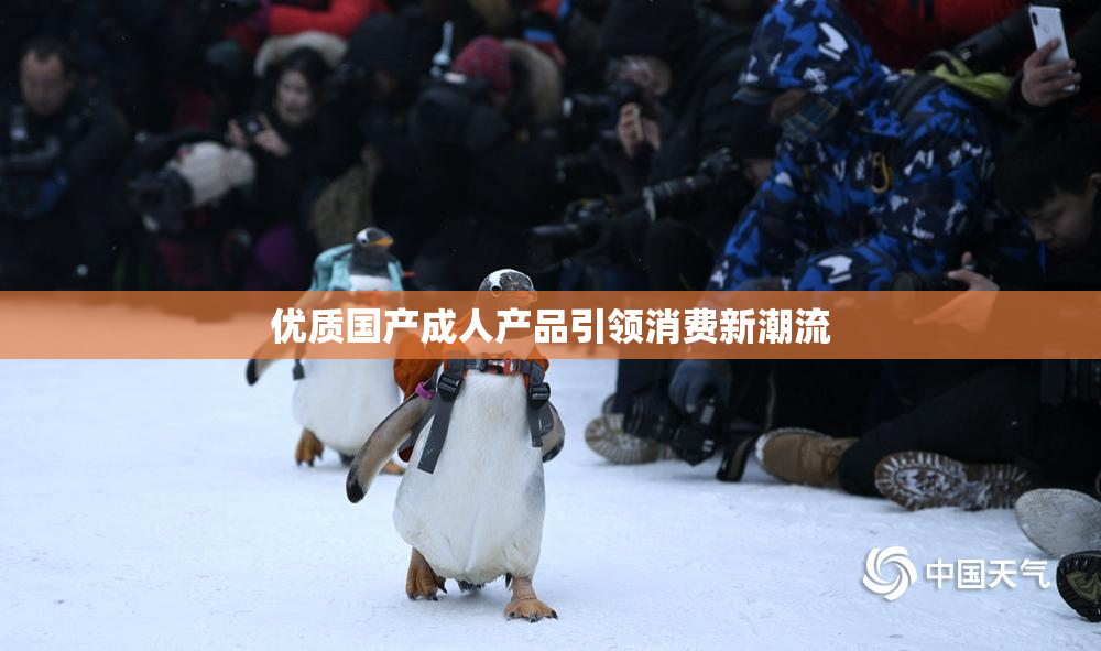 优质国产成人产品引领消费新潮流