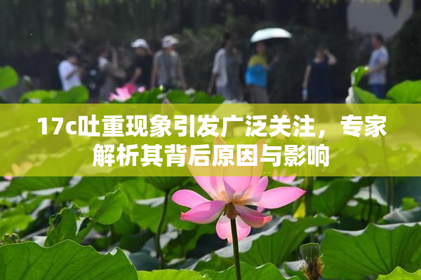 17c吐重现象引发广泛关注，专家解析其背后原因与影响