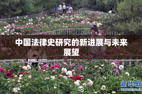 中国法律史研究的新进展与未来展望