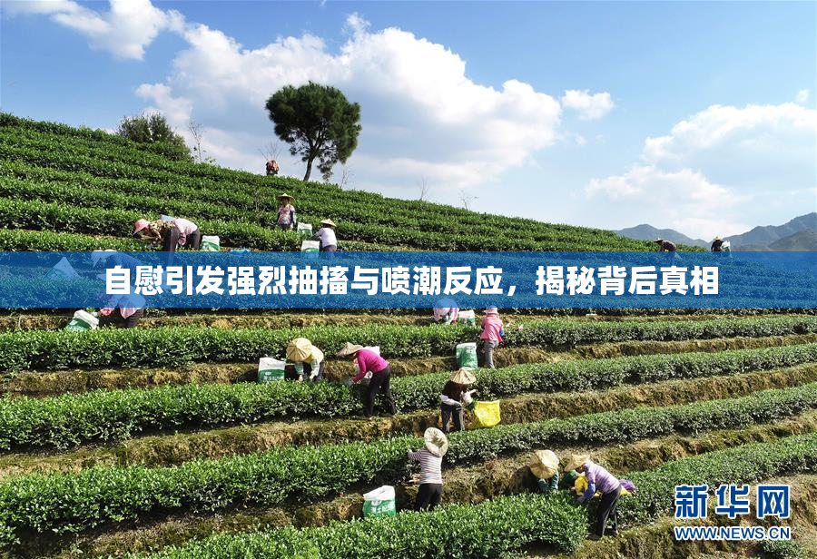 自慰引发强烈抽搐与喷潮反应，揭秘背后真相