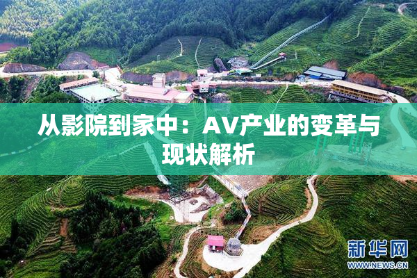 从影院到家中：AV产业的变革与现状解析