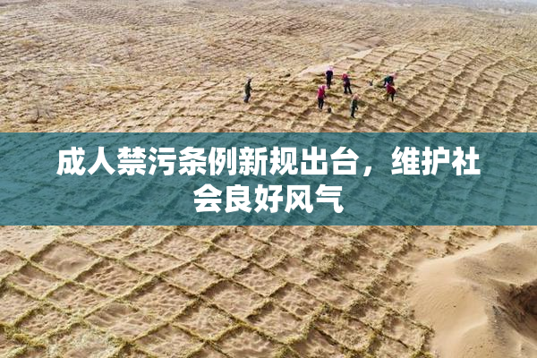 成人禁污条例新规出台，维护社会良好风气
