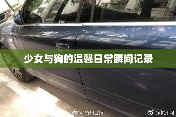 少女与狗的温馨日常瞬间记录