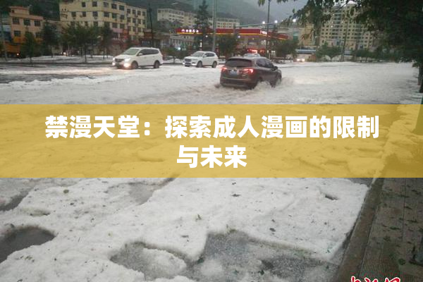 禁漫天堂：探索成人漫画的限制与未来
