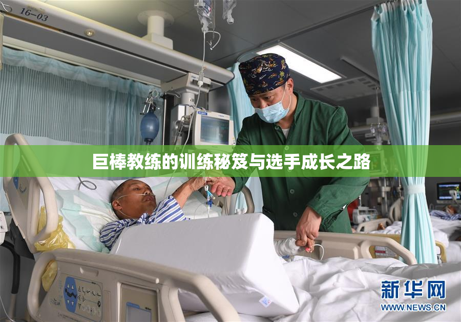 巨棒教练的训练秘笈与选手成长之路