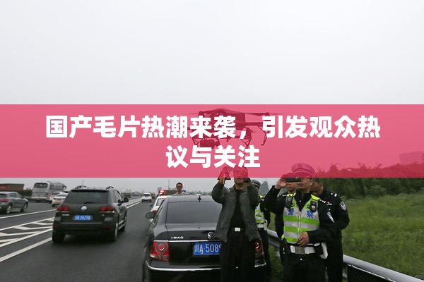 国产毛片热潮来袭，引发观众热议与关注