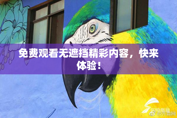 免费观看无遮挡精彩内容，快来体验！