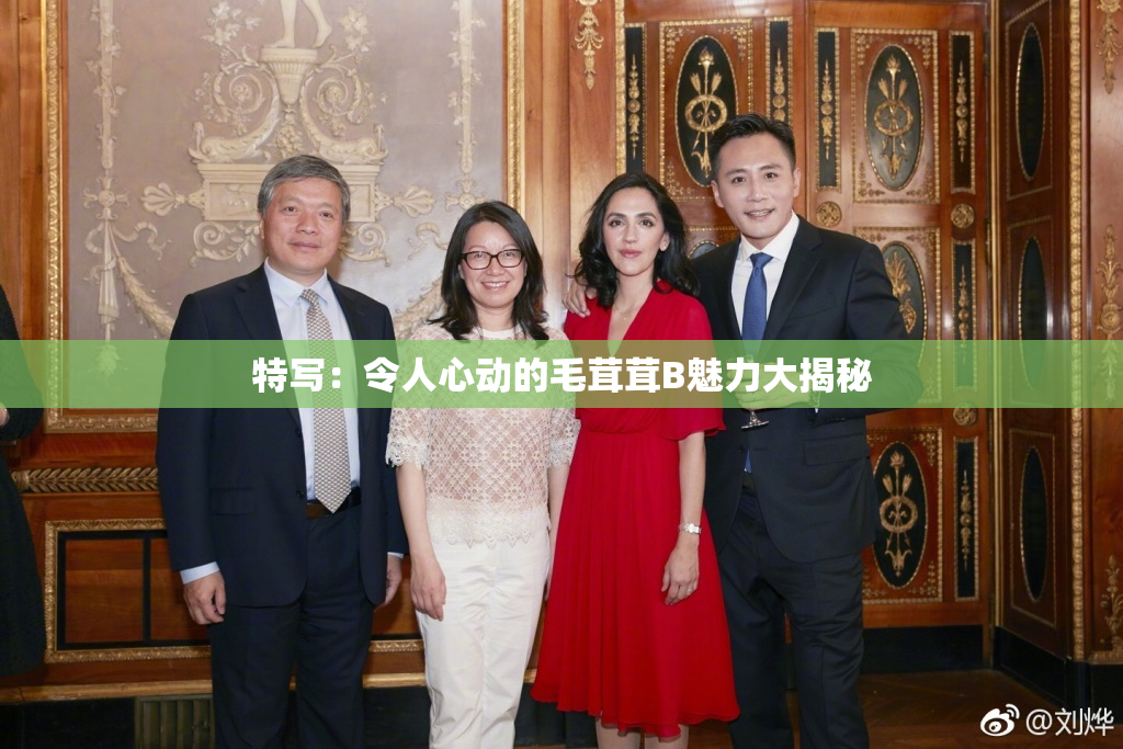 特写：令人心动的毛茸茸B魅力大揭秘