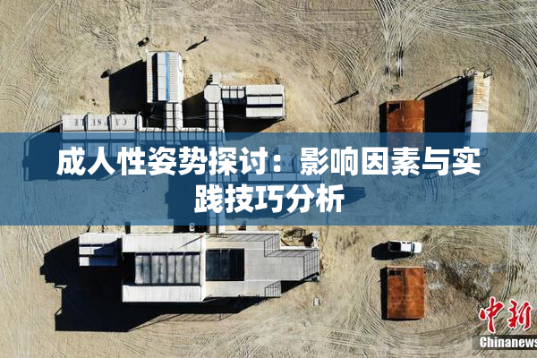 成人性姿势探讨：影响因素与实践技巧分析