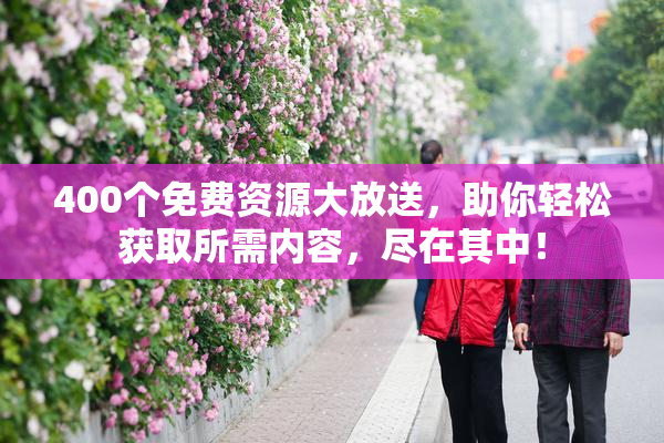 400个免费资源大放送，助你轻松获取所需内容，尽在其中！