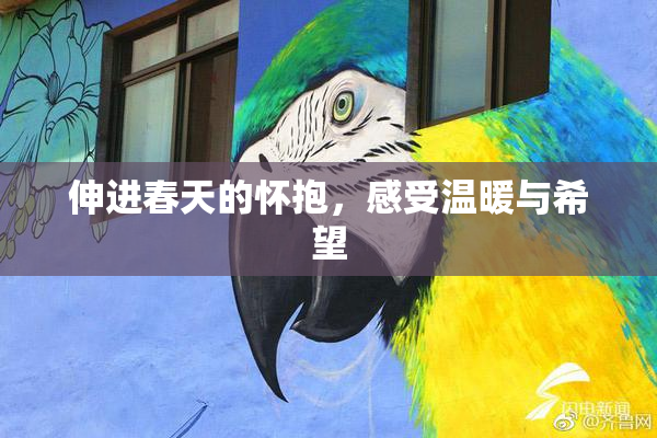 伸进春天的怀抱，感受温暖与希望