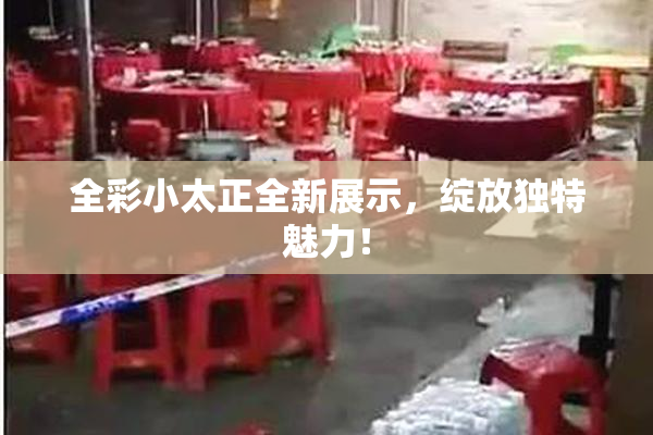 全彩小太正全新展示，绽放独特魅力！
