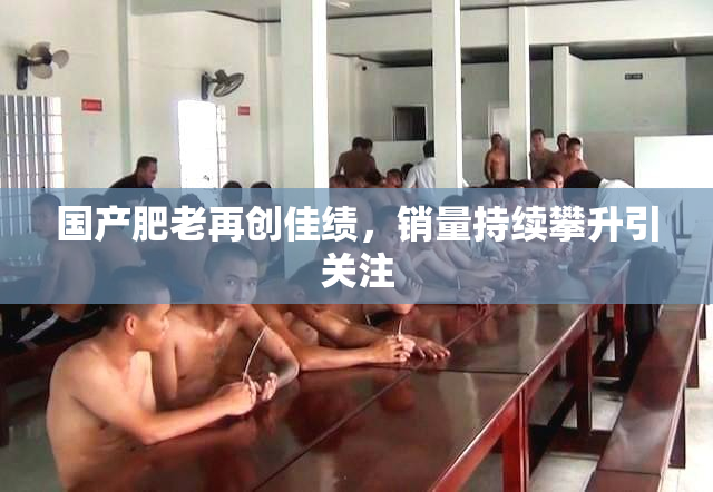 国产肥老再创佳绩，销量持续攀升引关注