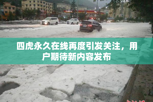 四虎永久在线再度引发关注，用户期待新内容发布