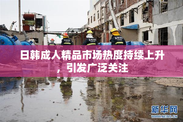 日韩成人精品市场热度持续上升，引发广泛关注