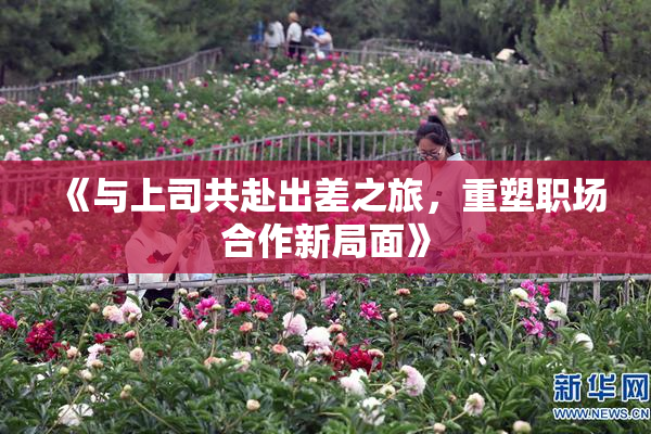 《与上司共赴出差之旅，重塑职场合作新局面》