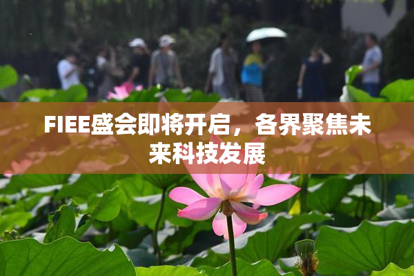 FIEE盛会即将开启，各界聚焦未来科技发展