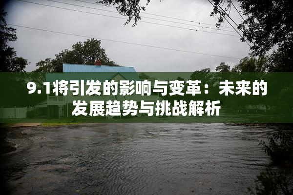 9.1将引发的影响与变革：未来的发展趋势与挑战解析