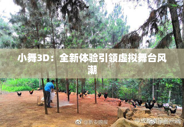 小舞3D：全新体验引领虚拟舞台风潮