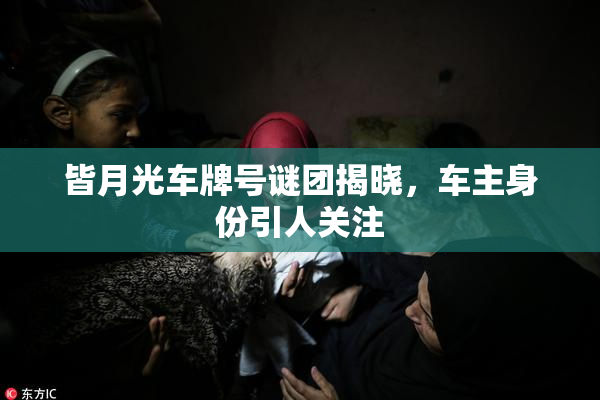 皆月光车牌号谜团揭晓，车主身份引人关注