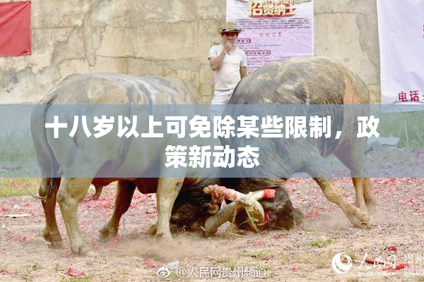 十八岁以上可免除某些限制，政策新动态