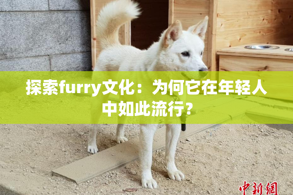 探索furry文化：为何它在年轻人中如此流行？