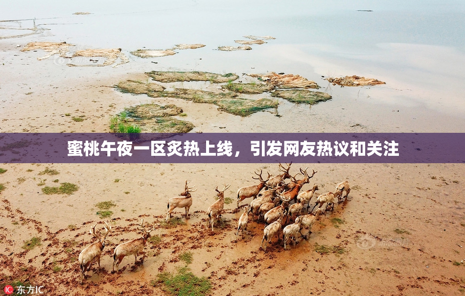 蜜桃午夜一区炙热上线，引发网友热议和关注