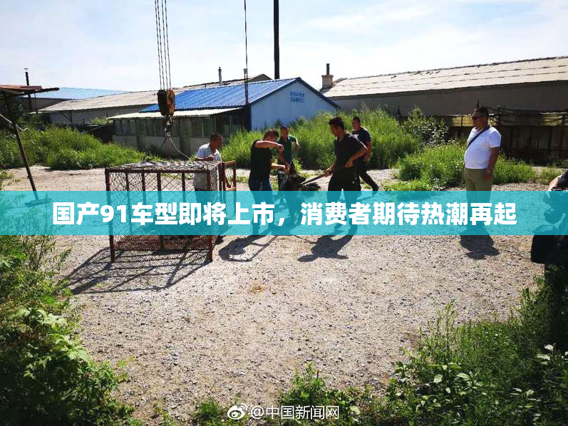 国产91车型即将上市，消费者期待热潮再起